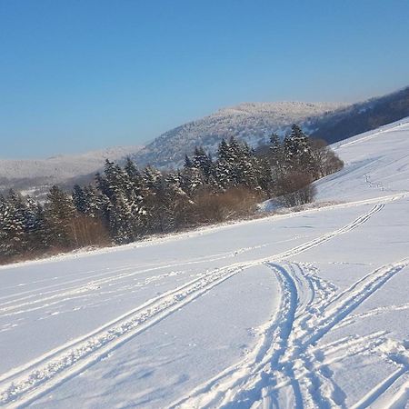 Agroturystyka Corno Owca Zabnica Екстериор снимка
